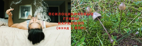 МДМА Верея