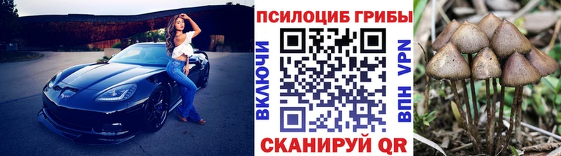 Псилоцибиновые грибы мицелий  наркота  Малмыж 